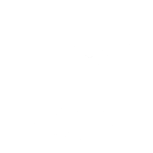 Logo origineel wit