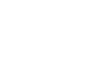 EcoVix