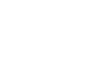 Social Securia