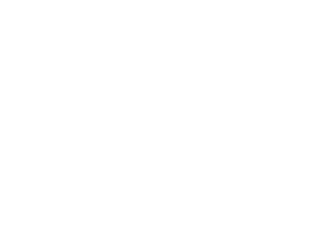 Verborgen Talent