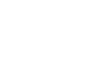 Logo-SVW metaal wit
